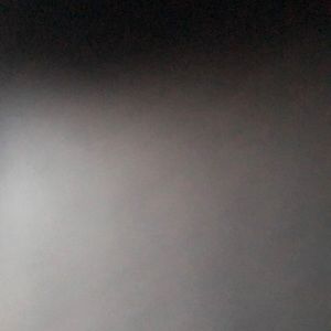 Meet your Posher, Bella